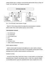 Referāts 'Personālvadības audits', 6.