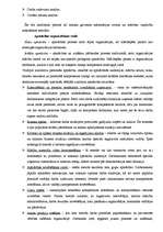 Referāts 'Personālvadības audits', 8.