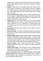 Referāts 'Personālvadības audits', 9.