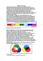 Eseja 'Krāsu pasaule', 1.