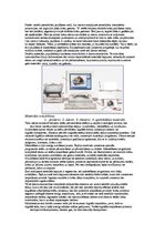 Eseja 'Krāsu pasaule', 2.