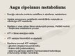 Prezentācija 'Barošanās veidi un vielu, enerģijas maiņa šūnā', 15.