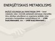 Prezentācija 'Barošanās veidi un vielu, enerģijas maiņa šūnā', 40.