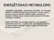 Prezentācija 'Barošanās veidi un vielu, enerģijas maiņa šūnā', 42.