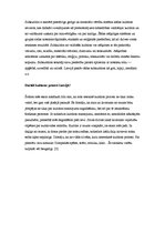 Konspekts 'Masu kultūra, kultūras jēdziens', 3.