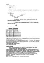 Konspekts 'Mikrobioloģija', 2.