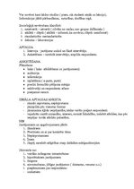 Konspekts 'Sociālā pētījuma programma', 2.