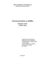 Referāts 'Lēmumu pieņemšana un atbildība', 1.