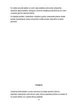 Referāts 'Lēmumu pieņemšana un atbildība', 16.