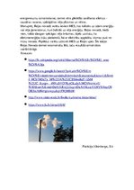 Eseja 'Kurināmais un ekoloģija', 2.