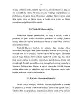 Referāts 'Konkurences līdzsvars', 9.