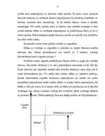 Referāts 'Konkurences līdzsvars', 10.