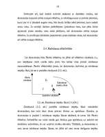 Referāts 'Konkurences līdzsvars', 17.
