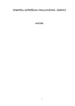 Konspekts 'Ātrspēka attīstīšana vieglatlētikā, sprintā', 1.