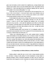 Referāts 'Patērētāju kultūras ietekme uz mūsdienu cilvēka domāšanu', 11.
