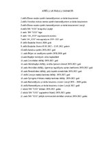 Referāts 'Komandējumu un darba braucienu uzskaite un atspoguļošana SIA “xxx” grāmatvedībā', 5.