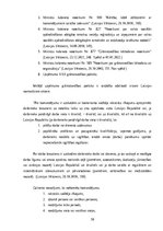 Referāts 'Komandējumu un darba braucienu uzskaite un atspoguļošana SIA “xxx” grāmatvedībā', 10.