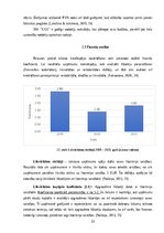 Referāts 'Komandējumu un darba braucienu uzskaite un atspoguļošana SIA “xxx” grāmatvedībā', 33.