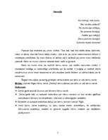 Referāts 'Bērnu dzīve un vide Rīgas bērnu namos', 3.