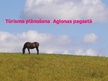 Prezentācija 'Tūrisma plānošana pašvaldību līmenī - tūrisma attīstības plāns Aglonas pagastā', 1.