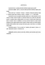 Diplomdarbs 'Radošas personības attīstīšanas iespējas sporta stundās', 2.