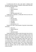 Diplomdarbs 'Radošas personības attīstīšanas iespējas sporta stundās', 18.