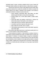 Diplomdarbs 'Radošas personības attīstīšanas iespējas sporta stundās', 40.