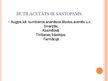 Prezentācija 'Butilacetāts', 8.