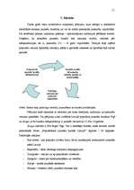 Referāts 'Jauniešu žurnālu "Puff" un "Sīrups" saturiskā analīze, ņemot vērā pusaudžu īpatn', 21.