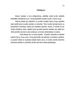 Referāts 'Jauniešu žurnālu "Puff" un "Sīrups" saturiskā analīze, ņemot vērā pusaudžu īpatn', 29.