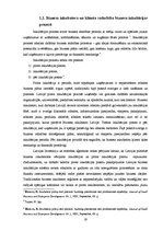 Diplomdarbs 'Pakalpojumu sniedzēja un klienta sadarbības loma Latvijas biznesa inkubatoru vid', 19.