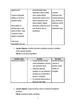 Paraugs 'Paciente ar vaskulāru demenci', 7.