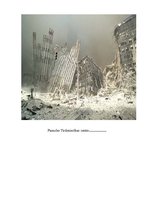 Referāts 'Ēģiptes un ASV ģeogrāfiskais raksturojums', 15.