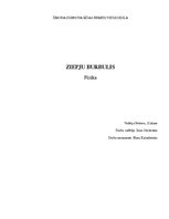 Referāts 'Мыльный пузырь', 1.