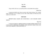 Referāts 'Мыльный пузырь', 2.