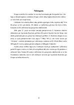 Referāts 'Brexit: norise, ieguvumi un zaudējumi', 12.