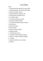 Referāts 'Lielveikalu loma Latvijas tirgū', 2.