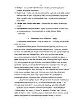 Referāts 'Lielveikalu loma Latvijas tirgū', 10.