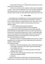 Referāts 'Lielveikalu loma Latvijas tirgū', 25.