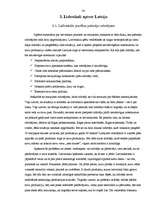 Referāts 'Lielveikalu loma Latvijas tirgū', 30.