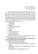 Eseja 'Sociālo gadījumu vadīšana', 2.