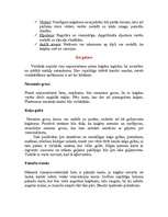 Referāts 'Kaķi', 4.