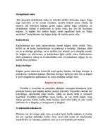 Referāts 'Kaķi', 6.