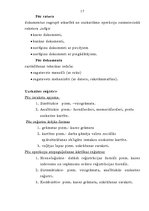 Referāts 'Grāmatvedības dokumentu veidi un klasifikācija', 17.