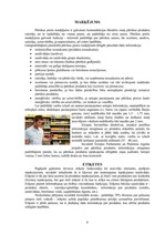 Referāts 'Siera iepakošana', 8.