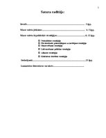 Referāts 'Mazo valstu klasiskās ārpolitiskās stratēģijas', 2.