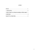 Referāts 'Cilvēka problēmas F.Nīčes darbā "Tā runāja Zaratustra"', 2.