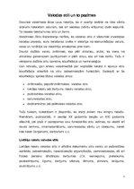 Referāts 'Valodas stili', 3.