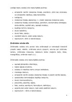 Referāts 'Valodas stili', 4.