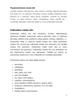 Referāts 'Valodas stili', 5.